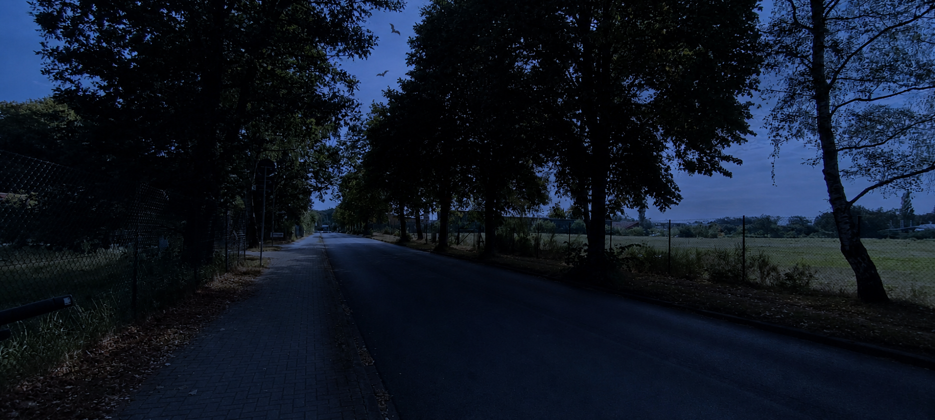 Fotomontage zweier Fledermäuse über dem echten baumbestandenen Heidekamp